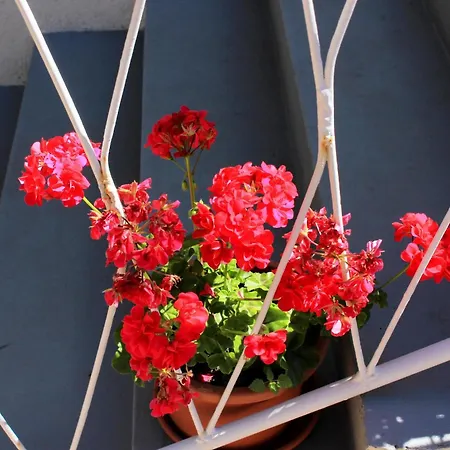 בית הארחה Double 3445h