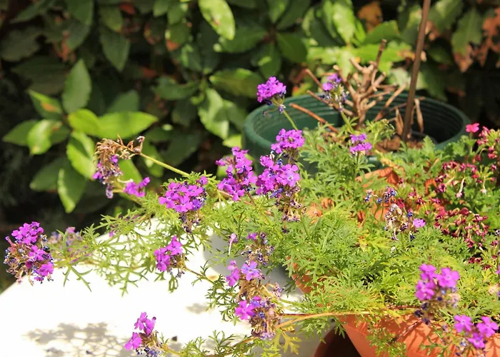 Gæstehus Double 3445h Mali Lošinj